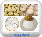 Image of Potato Starch